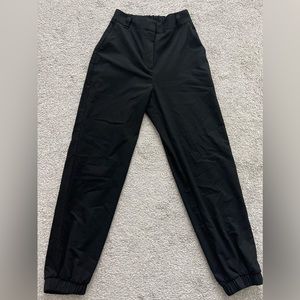 Aritzia Babaton trousers